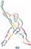 Lg. Hockey Player