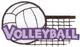 Volleyball Logo