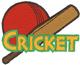 Cricket Logo