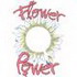 Daisy Flower Power