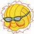 Sunny Volleyball