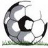 Soccerball