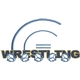 Wrestling