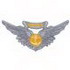 Aircrew Medal