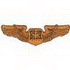 Air Force Navigator Observer Badge