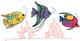 Tropical Fish