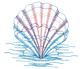 Lg. Scallop Shell