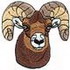 Bighorn Sheep