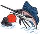 Sailfish