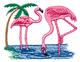 Flamingos