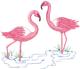 Two Flamingos