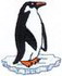 Penguin W/ice