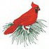 Cardinal