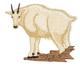 Sm. Mountain Goat