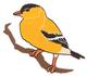 Goldfinch