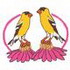 Two Goldfinches 97