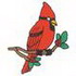 Cardinal 97