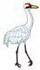 Whooping Crane