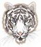 White Tiger Head