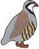 Chukar Partridge