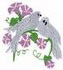 Doves
