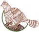 Ruffed Grouse