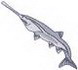 Paddlefish