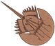 Horseshoe Crab