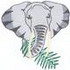 African Elephant