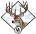 Whitetail Deer