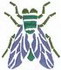 Housefly