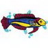 Wrasse Fish