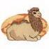 Bactrian Camel