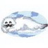 Harp Seal Pup