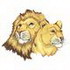 Lion & Lioness