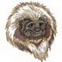 Cotton-top Tamarin