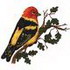 Western Tanager