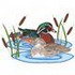 Wood Ducks