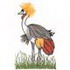 Gray Crowned Crane