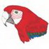 Scarlet Macaw