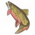 Brook Trout