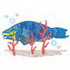Parrot Fish