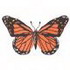 Monarch Butterfly