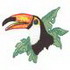 Toco Toucan