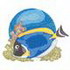 Powder Blue Tang