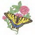Eastern Tiger Swallowtail/ Red Clover