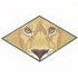 Lion Eyes