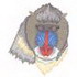 Mandrill