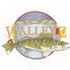 Walleye