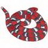 Milksnake